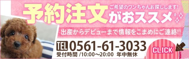 予約注文がオススメ